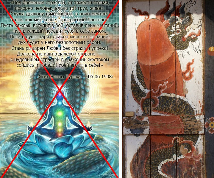 Нибиру – 2020 + Будущее России Мощь народной медицины - i_012.jpg