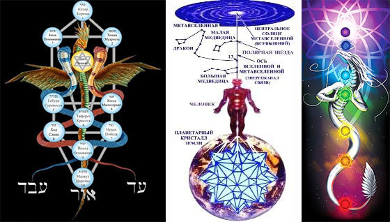 Нибиру – 2020 + Будущее России Мощь народной медицины - i_013.jpg