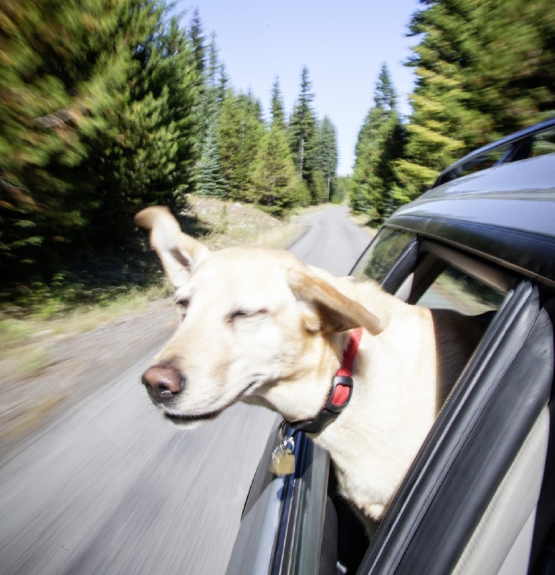 Зов дорог - _114209.jpg