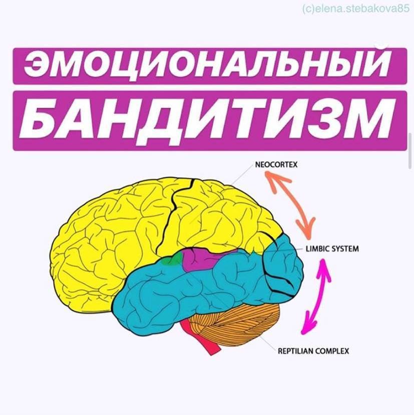 Энциклопедия психологического знания в картинках - _13.jpg