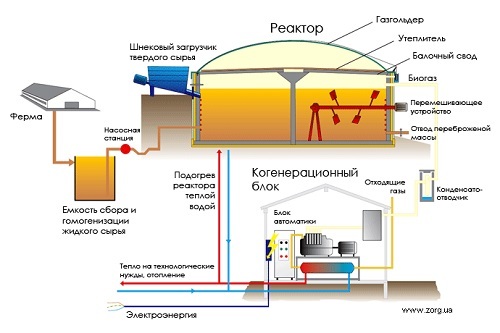 Испанская партия - _10.jpg