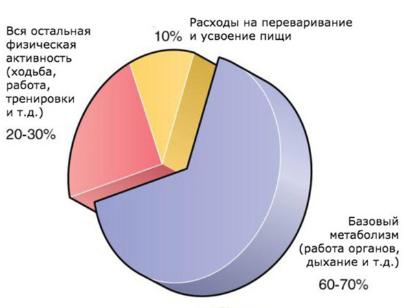 9 шагов здоровой потери веса. Наука похудения без мифов и голодовки - image4_5e9d6fa46e87300700f4be76_jpg.jpeg