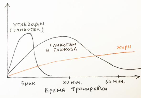 9 шагов здоровой потери веса. Наука похудения без мифов и голодовки - image7_5e92e5fc6e87300700f4bb97_jpg.jpeg