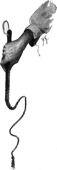 Вечер накануне Ивана Купала(Повесть) - i_015.png