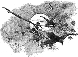 Вечер накануне Ивана Купала(Повесть) - i_031.png