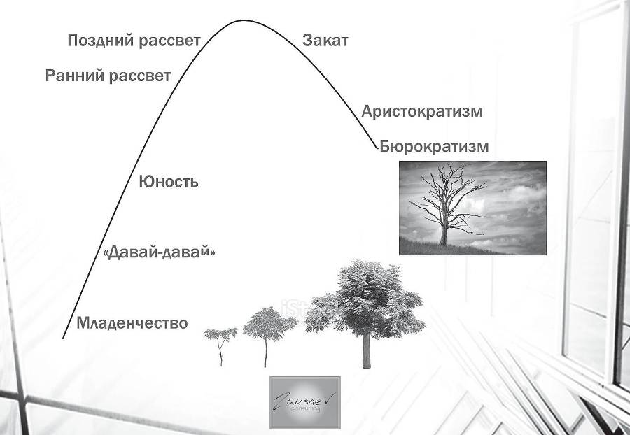 Парадоксы управления в российском бизнесе - _0.jpg