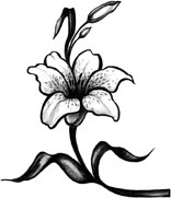 Лилии полевые - _8.jpg