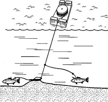 Кружки, жерлицы, поставушки  - рыбалка без проколов - any2fbimgloader114.jpeg