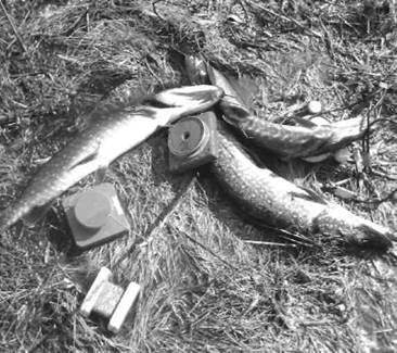 Кружки, жерлицы, поставушки  - рыбалка без проколов - any2fbimgloader19.jpeg