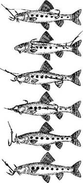 Кружки, жерлицы, поставушки  - рыбалка без проколов - any2fbimgloader34.jpeg