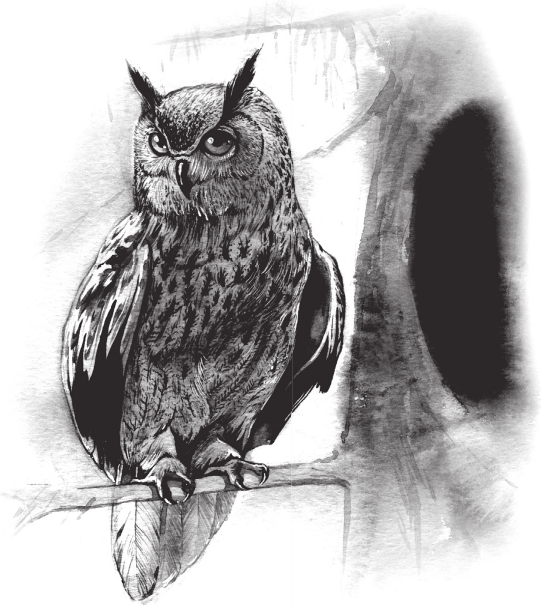 По следам четырех сезонов. Крымский календарь природы для детей - i_002.png