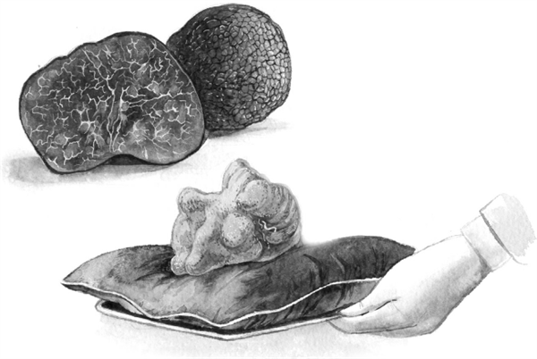 По следам четырех сезонов. Крымский календарь природы для детей - i_011.png