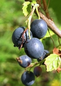 О геологии, о жизни, о былом - _18.jpg