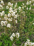 О геологии, о жизни, о былом - _19.jpg