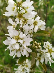 О геологии, о жизни, о былом - _20.jpg