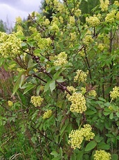 О геологии, о жизни, о былом - _21.jpg