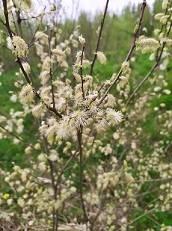 О геологии, о жизни, о былом - _22.jpg