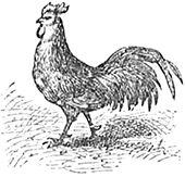 Сказки - i_009.png