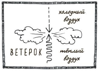 Могут ли коровы повлиять на глобальное потепление? И ещё 122 вопроса о климате и окружающей среде - i_005.jpg