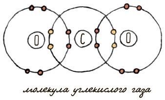 Могут ли коровы повлиять на глобальное потепление? И ещё 122 вопроса о климате и окружающей среде - i_019.jpg