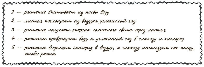 Могут ли коровы повлиять на глобальное потепление? И ещё 122 вопроса о климате и окружающей среде - i_022.jpg