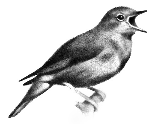 По-своему взирая - i_031.jpg