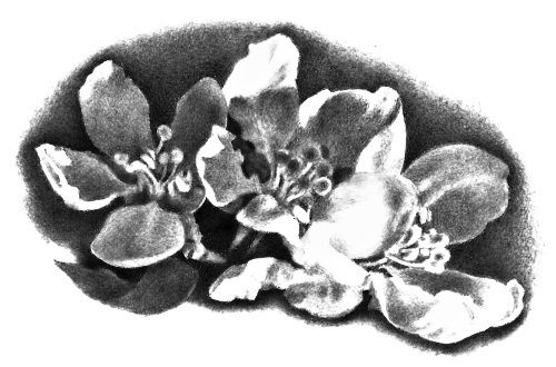 По-своему взирая - i_032.jpg