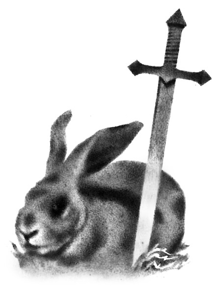 По-своему взирая - i_033.jpg