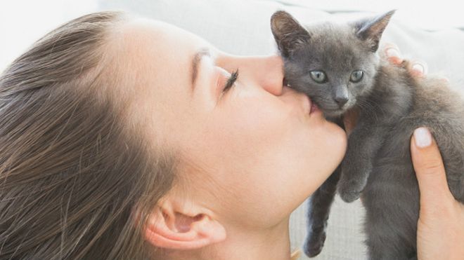 Би-Би-Си о кошках (сборник) - cats_girl_kissing_kitten_624x351_thinkstock_nocredit.jpg