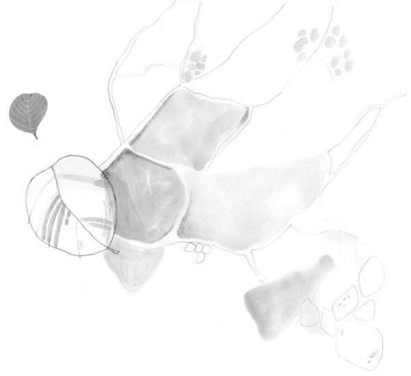 Девочки-колдуньи - i_003.jpg