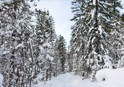 Сумасшедшая парадигма делает СССР газовой супердержавой - _17.jpg