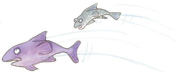 Тайна рыбного воришки - i_008.jpg