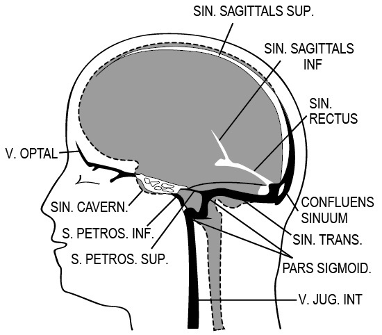 Эндокринные синдромы и болезни. Руководство для врачей. - i_003.jpg