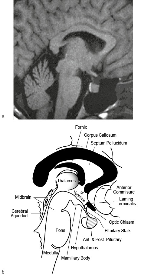 Эндокринные синдромы и болезни. Руководство для врачей. - i_019.jpg