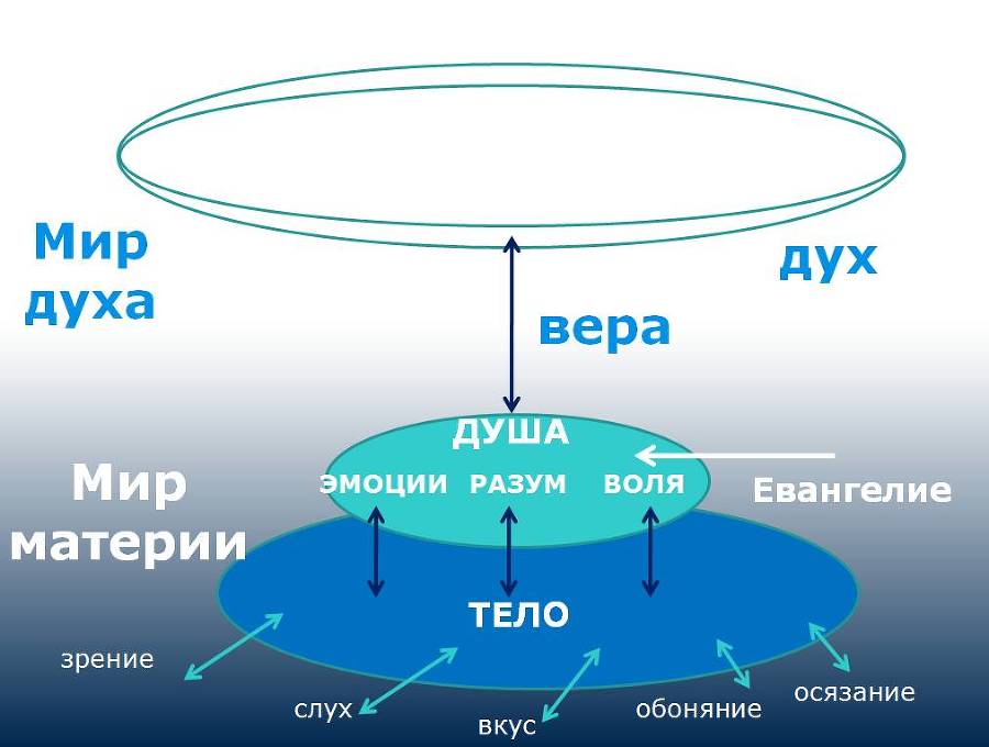 Дух, душа и тело. Путь спасения человека - _1.jpg