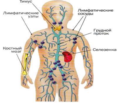 Аллергия. Истинные причины. Лечение - i_002.jpg