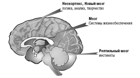 Как правильно менять себя и быть успешным в любой ситуации - i_001.jpg