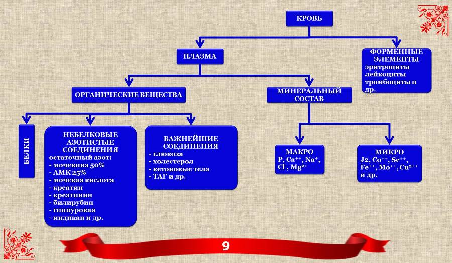 БИОХИМИЯ КРОВИ. Для мобильных устройств - _2.jpg