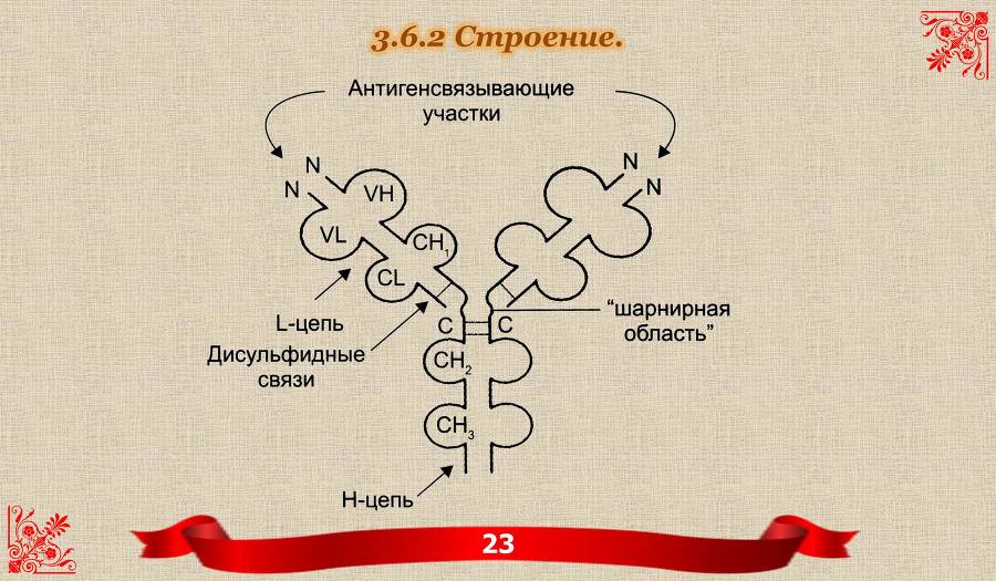 БИОХИМИЯ КРОВИ. Для мобильных устройств - _9.jpg