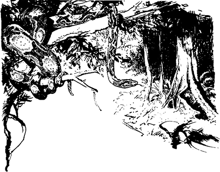 Из глубин древности - i_026.png