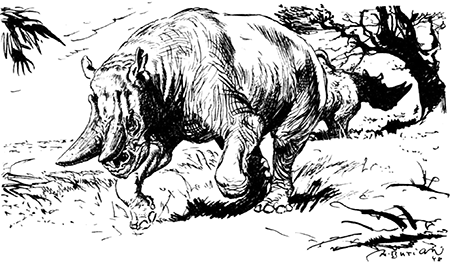 Из глубин древности - i_027.png