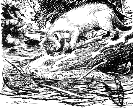 Из глубин древности - i_038.png