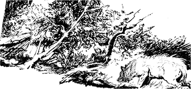 Из глубин древности - i_039.png