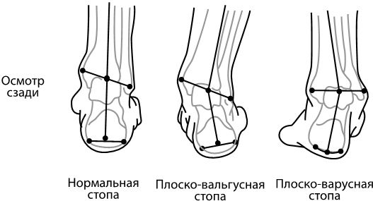 Прямая спина и ровные ножки. Геометрия ранних лет - i_002.png