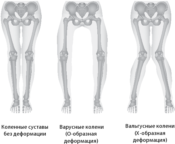 Прямая спина и ровные ножки. Геометрия ранних лет - i_003.png