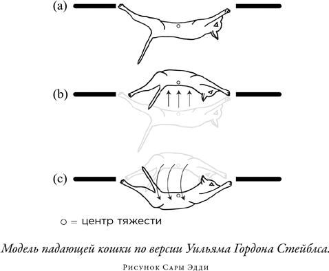 Загадка падающей кошки и фундаментальная физика - i_003.png