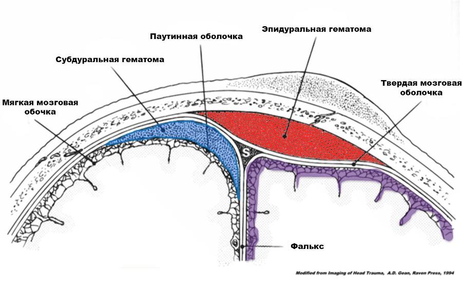 Кадуцей. Между жизнью и смертью - _4.jpg