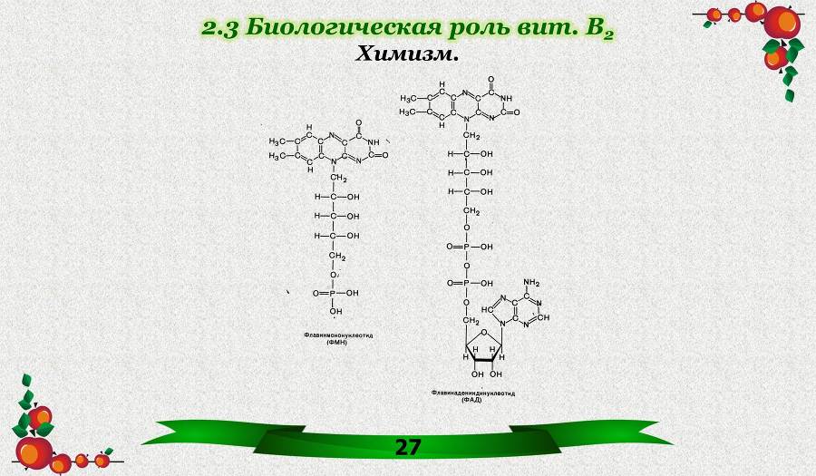 Витамины. Часть 1: Водорастворимые - _12.jpg