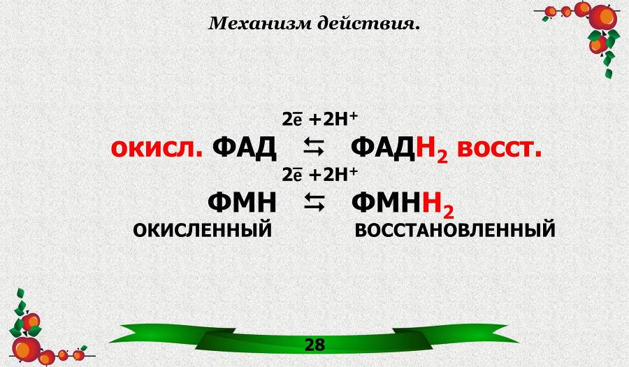 Витамины. Часть 1: Водорастворимые - _13.jpg