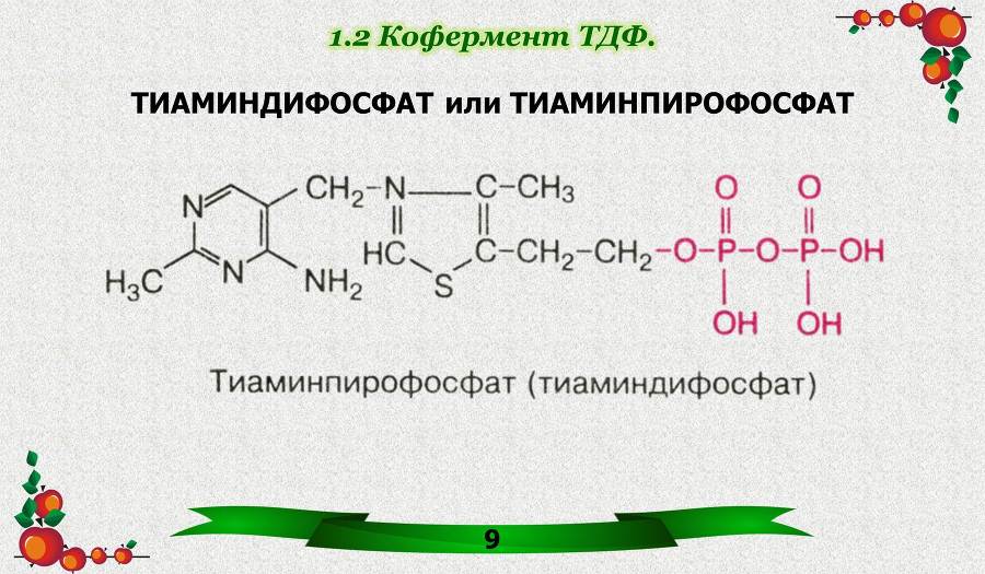 Витамины. Часть 1: Водорастворимые - _2.jpg